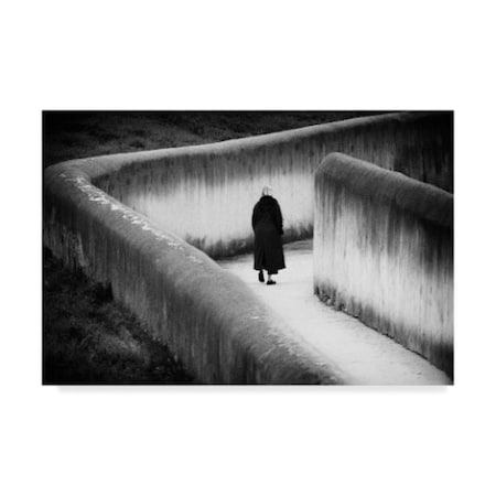 Paulo Abrantes 'Cold Cold Ground' Canvas Art,16x24